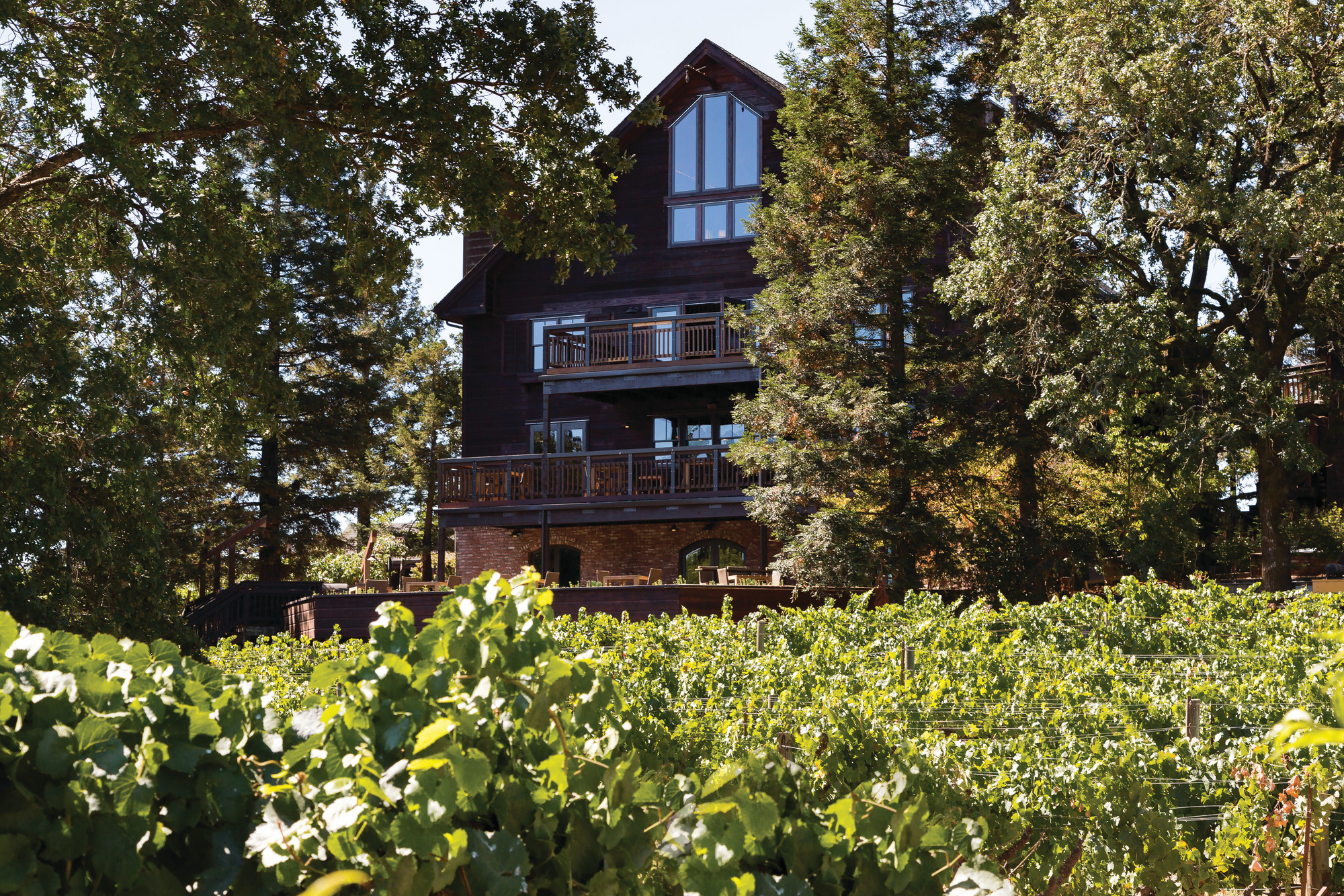 Tidal Break Vineyard Chardonnay