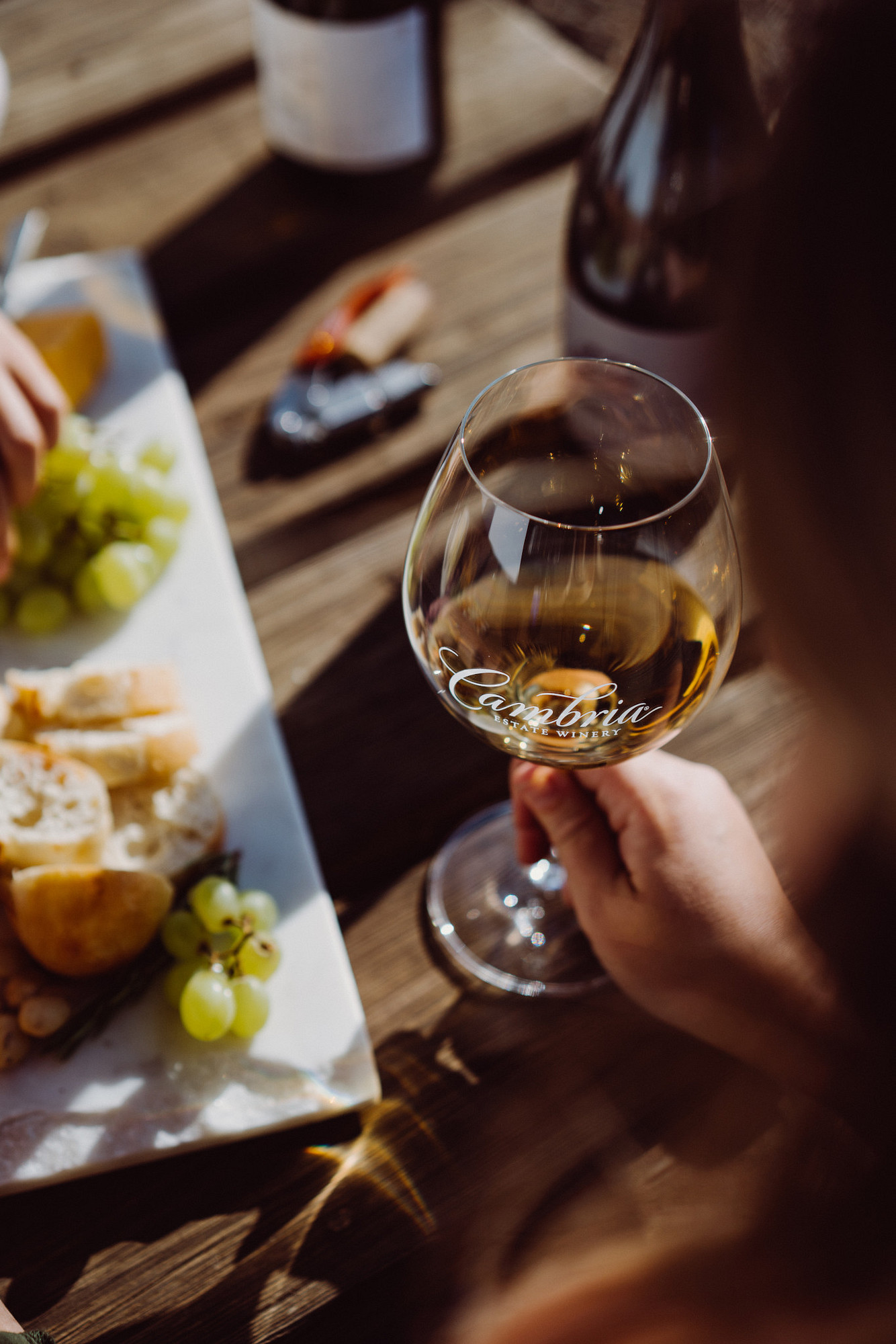 Katherine&rsquo;s Vineyard