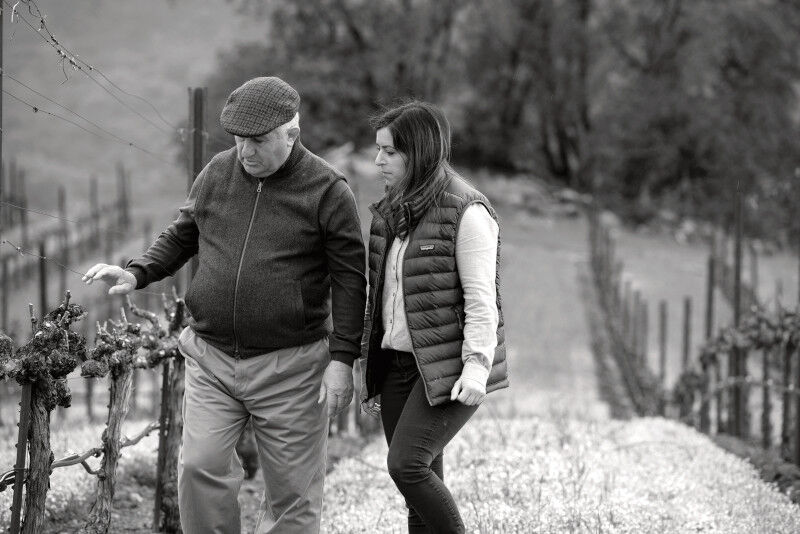 People enjoying Murphy Goode wine while eating cheese