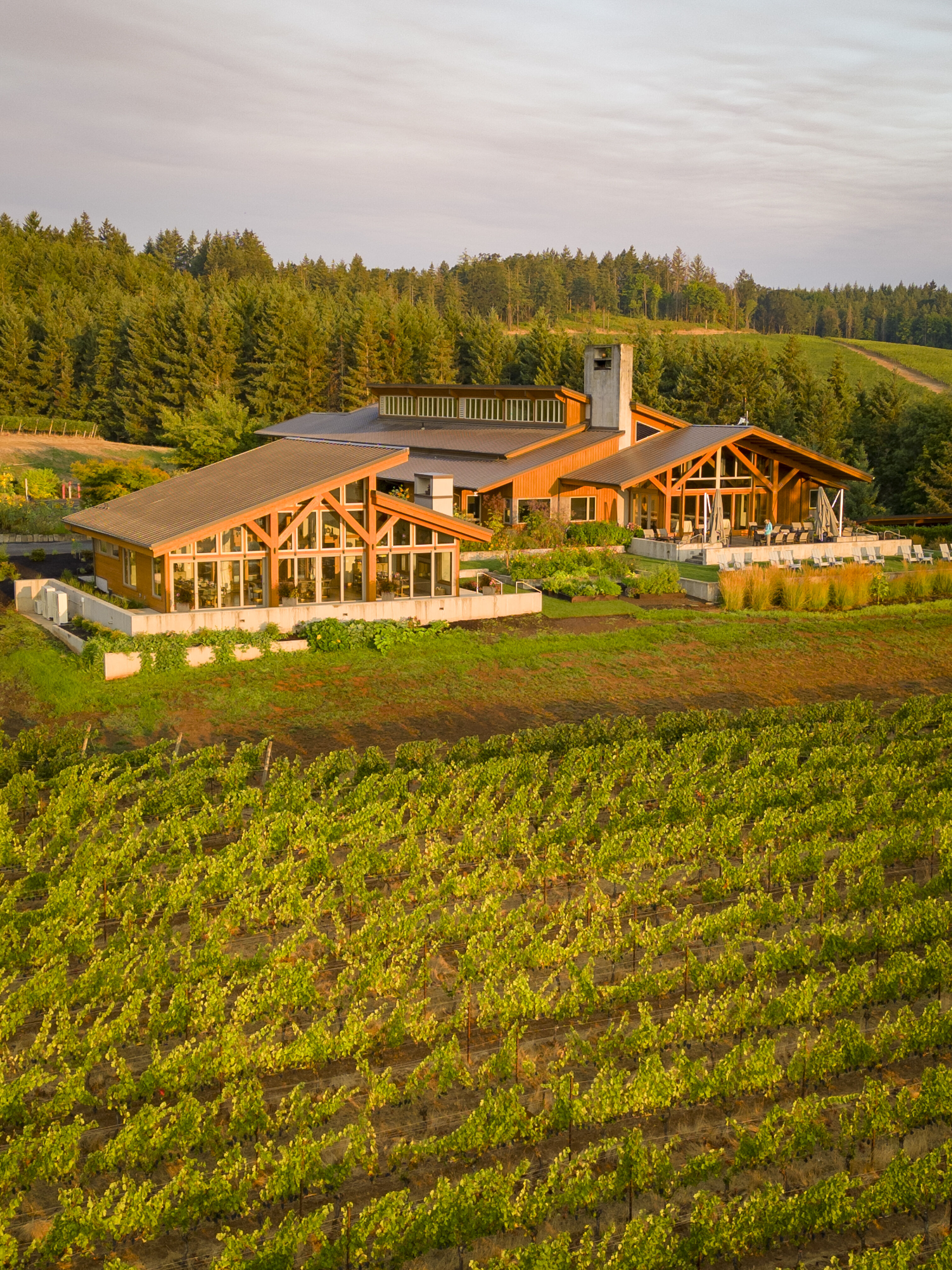 Birds eye view of Penner-Ash Winery